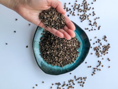 Buckwheat Hulls Benefits, Minthoshi